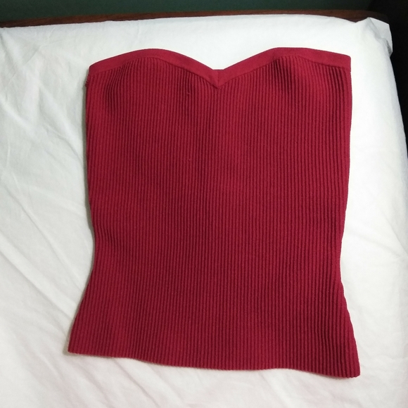 Babaton Tops - Aritzia Babaton Olaf tube top